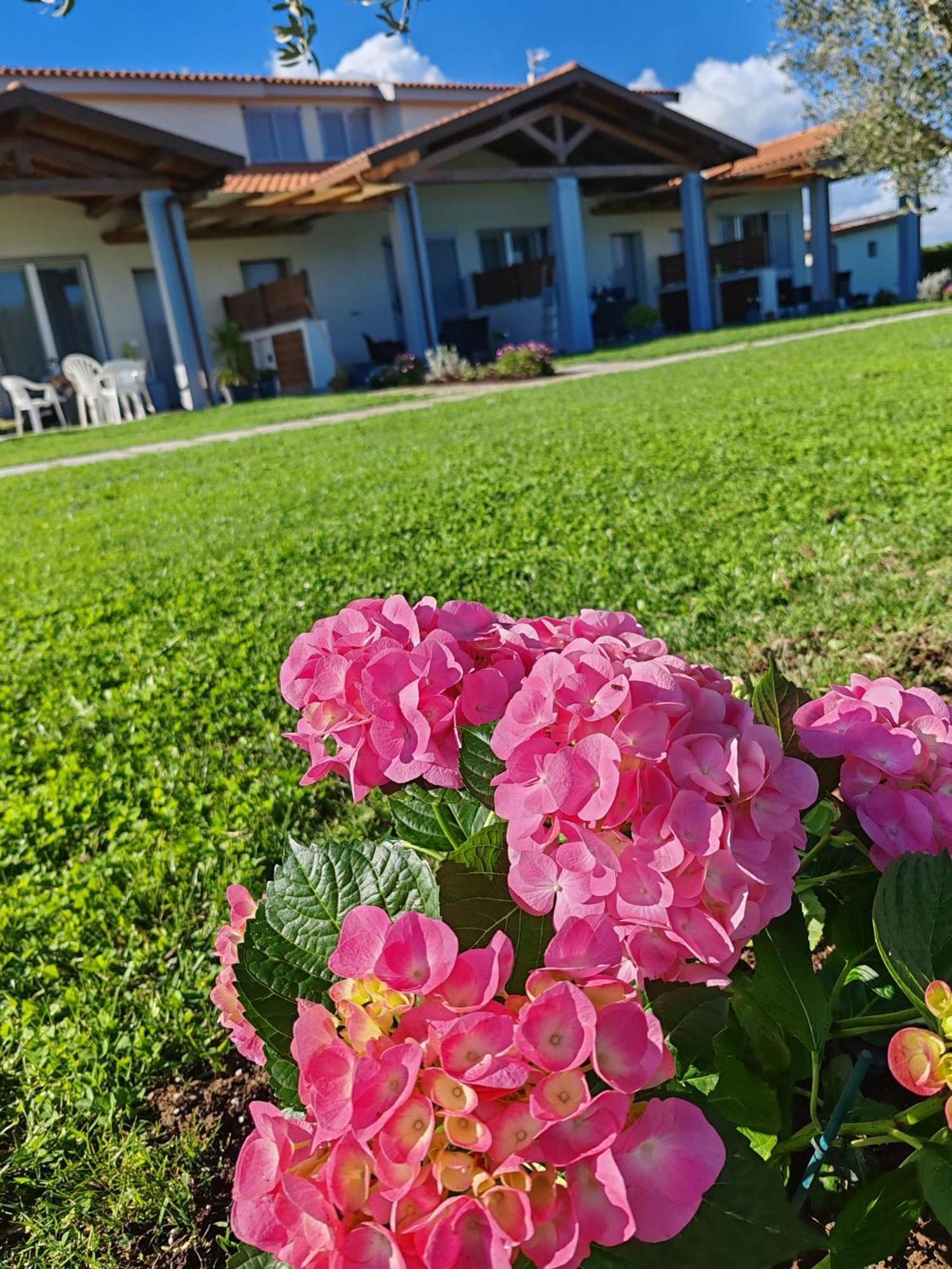 Residence La Pace - Pool & Relax Marina di Grosseto Exterior photo